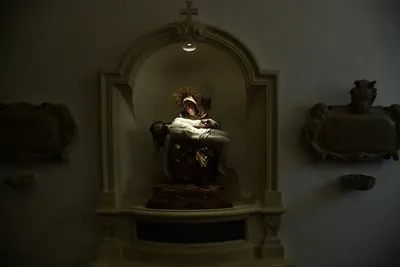 DSC_6343 (Large).JPG